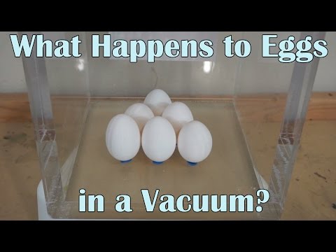 What Happens When You Put 6 Eggs In A Huge Vacuum Chamber? Video