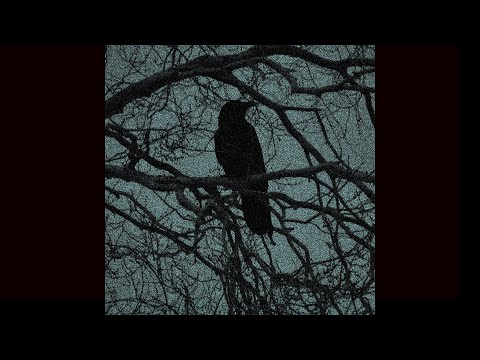 [FREE] Alt rock x Deftones x Superheaven type beat - Crow