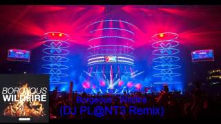 Download lagu Borgeous - Wildfire (DJ PL@NT3 Remix) mp3