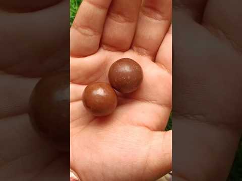 Cadbury Shots Milk Chocolate Balls #yummy #shorts #candy 💞💞💞💞💞