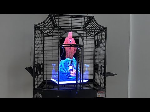 NOISYLEAKS: The Art of Exposing Secrets