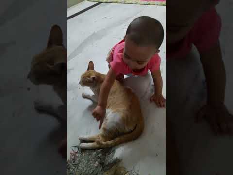 Baby iffah playing with cat:)
