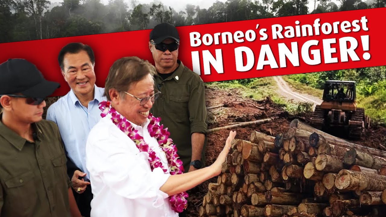 Save the Baram forest – Penan subtitles