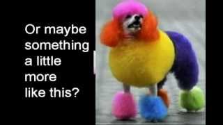 Creative Dog Grooming