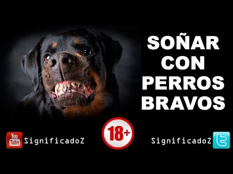 Meaning of DREAMING ABOUT FIERCE DOGS 🔞 What Does It Mean?