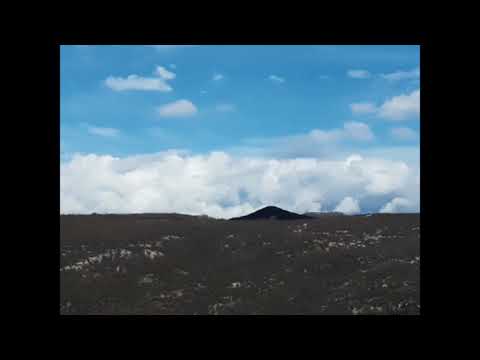 Dragoljub Lazarević- TAJ TAVRLJE (1964)