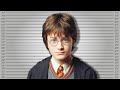 If Harry Potter Was Charged For His Crimes