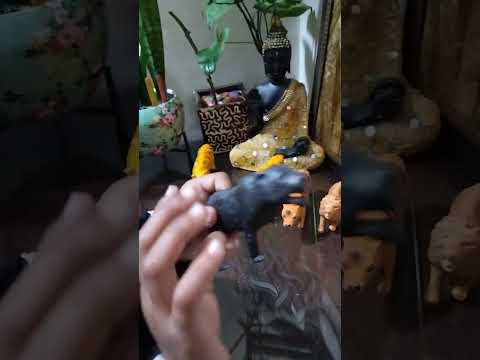 The Himalayan hero kushagra...a big animal lover❤️❤️