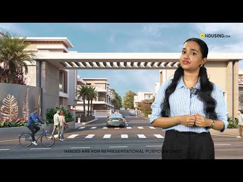 Golden Glory 101 Project Video 1