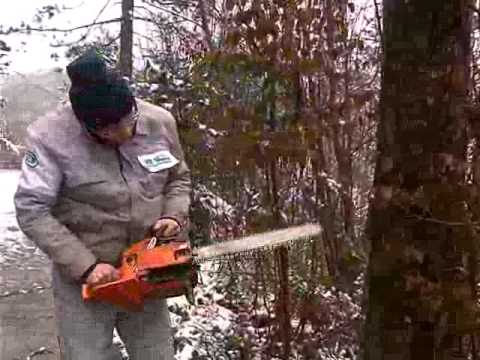 Arif Dežaga - Moja dobra pilo