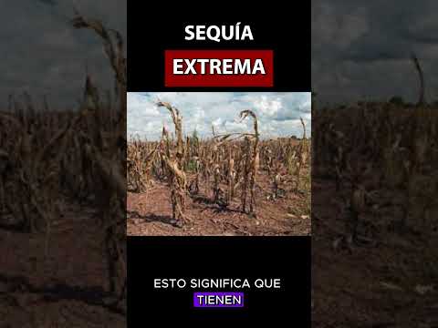 ¡La sequía, un problema que afecta a millones de personas! #sabíasqué #sequia #desierto #agua