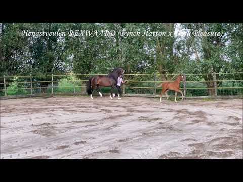 REXWAARD Fynch Hatton x Dark Pleasure 14 05 2021