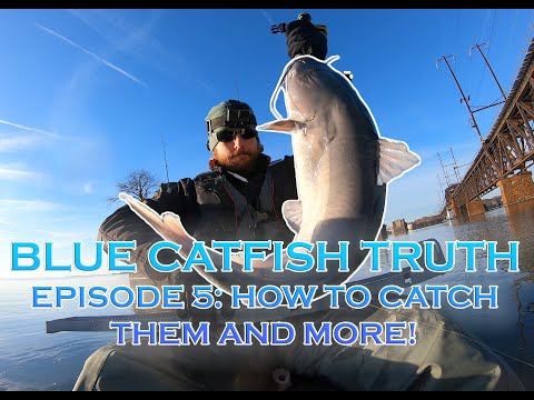 Blue Catfish Truth Episode 5 How to Catch Them