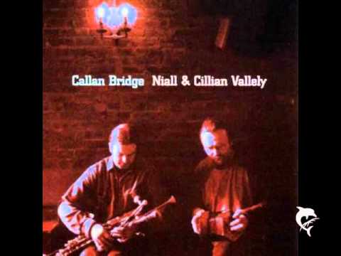 Niall & Cillian VALLELY - The Humours Of Tullycrine