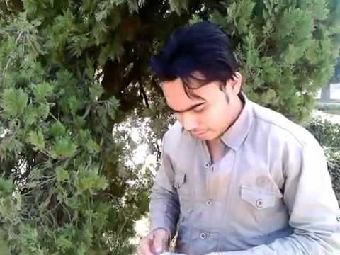 Asif Hasan Ansari Asif Hasan...