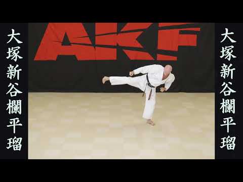 Shin Taiko Nidan kata video