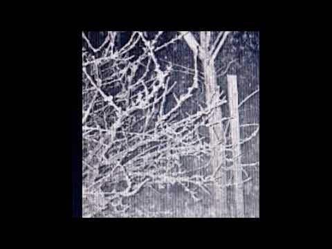 08. biocide - unstable [26.11.2018]