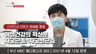 자궁 경부암 폐경 전후 증상과 검사주기
