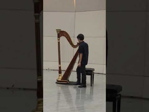 Finn plays harp for music festival 2019