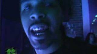 Lil Flip Freestyle in V.I.P.