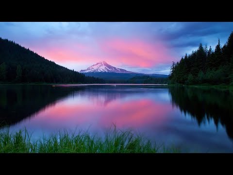 Tilian & Jonny Craig - Back to Life (Legendado pt-BR  / en-US)