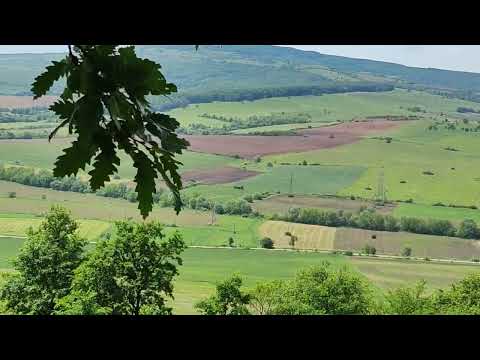 La pădure după ciuperci! Natură, plimbare, liniște sufletească!❤️