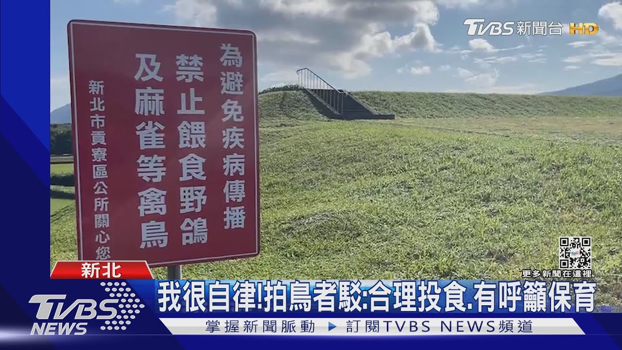 想拍照！稀有「長耳鴞」來台過冬　公園內驚見放鼠誘鳥