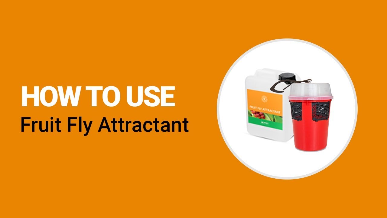 Video preview poster