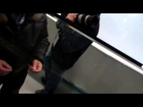 Alexei Mishin signing autographs, Grand Prix Final 2011