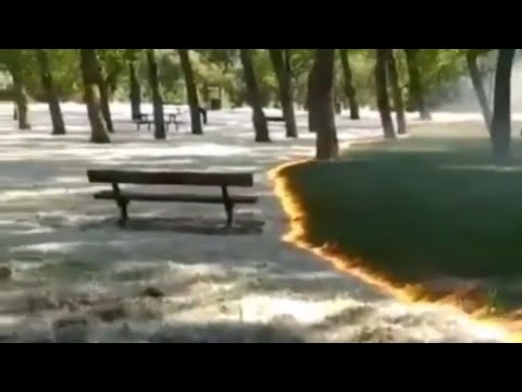 IOV - | A Burning Park |