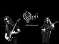 Opeth - Black Rose Immortal Lyric Video