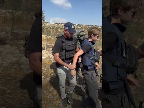 Farmers blocked from olive harvest in occ. West Bank, volunteers detained