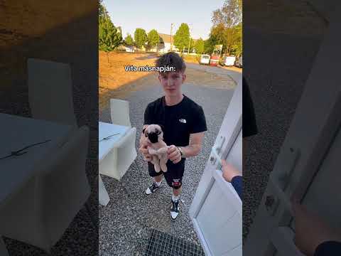 A Nichery ott segít, ahol tud👀 www.nichery.eu #nichery #parfum