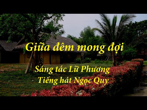 Giữa đêm mong đợi - Ngọc Quy