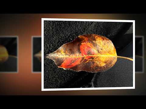 Toulavej song - Silvestr 2017