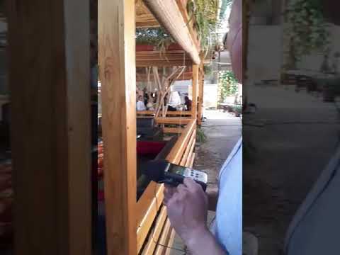 Xafa bo‘lish yo‘q.! Shurik Toshkentda