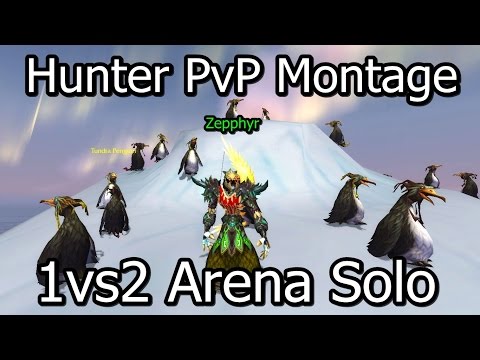 WOW Hunter PvP Montage 1vs2 Arena Patch 5.4.8