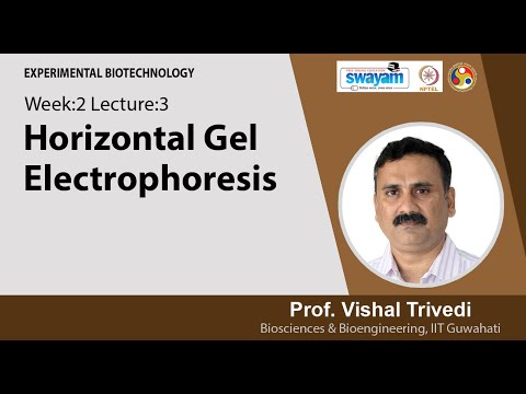 Experimental Biotechnology Intro Video