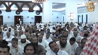 صورة وقالت الزوجة الأولي: زوجي لحم جمل غث | للشيخ الحويني