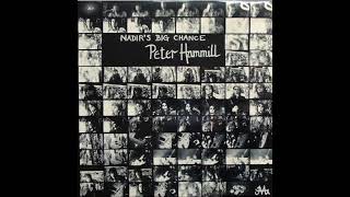 Peter Hammill - Shingle Song (1975)