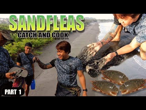 EP860-P1 - SandFleas Catch and Cook