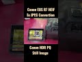 Canon EOS R7 HEIF to JPEG File Conversion #canon #mirrorless #nikon #sony #lumix #jpeg #raw #image