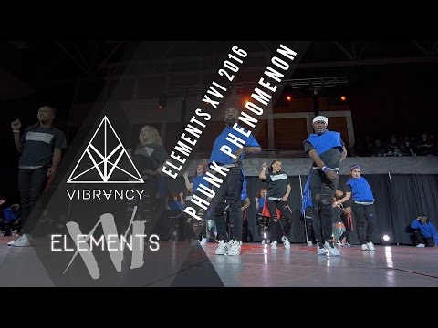 Phunk Phenomenon | Elements XVI 2016 [@VIBRVNCY 4K Front Row] @phunkcrew #elementsxvi