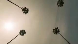 Nipsey Hussle - FACE THE WORLD - VIDEO #NIPSEY #NIPSEYHUSSLE #WESTCOAST