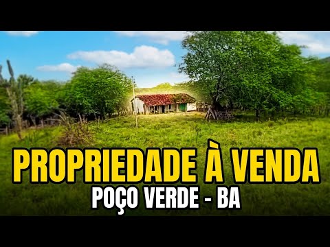 OPORTUNIDADE IMPERDÍVEL: SÍTIO À VENDA EM POÇO VERDE / FILADÉLFIA (BAHIA)! 🌿🏡