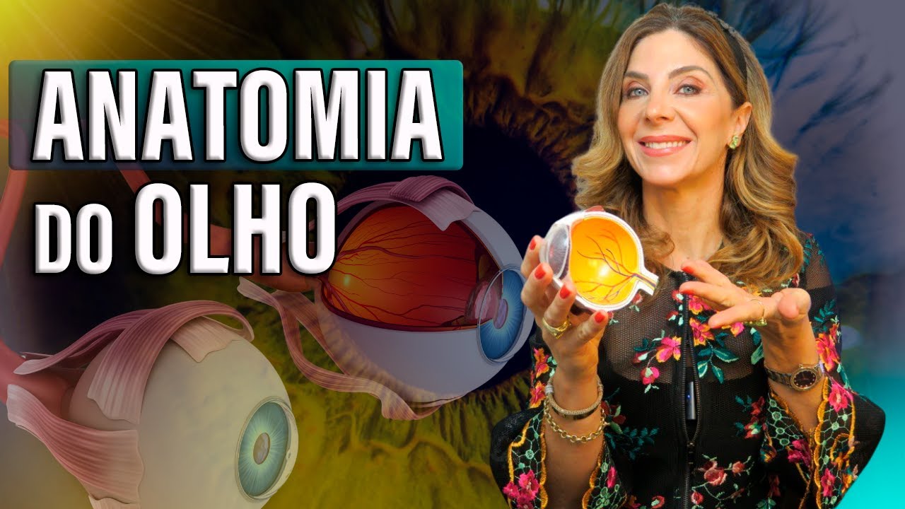 O Que é Anatomia Dos Olhos O Que é Anatomia Dos Olhos