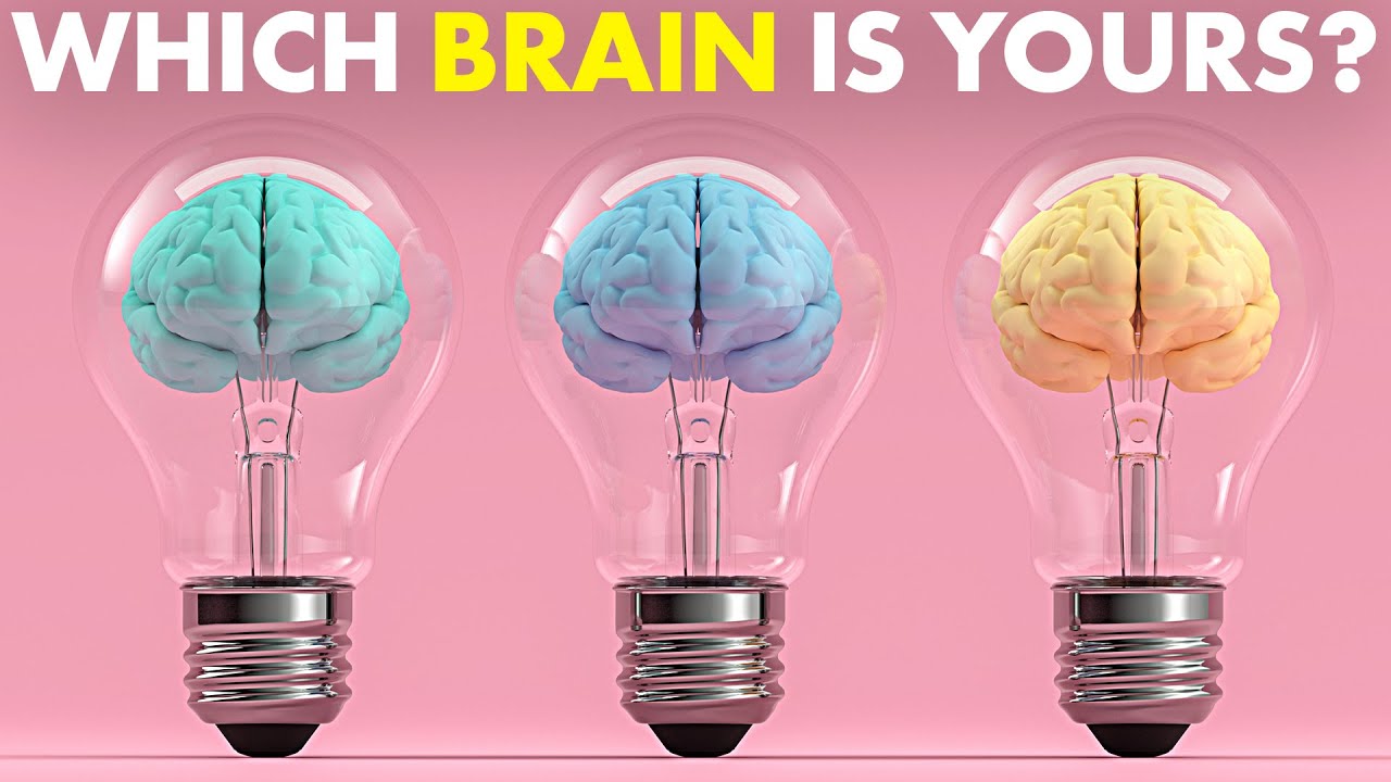 The 3 Brain Types and What They Mean