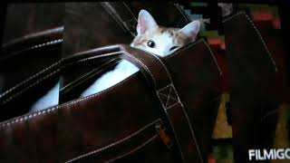 Josh Groban - &quot; My December &quot;