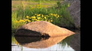 Pepe Willberg Hiljaisuus