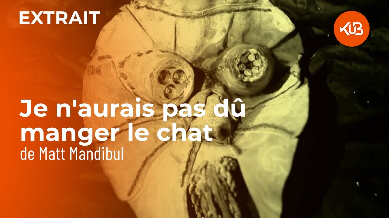 Miniature de la vidéo Je n'aurais pas dû manger le chat - Matt Mandibule du film Je n’aurais pas dû manger le chat